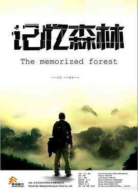 《记忆森林》免费在线播放｜剧情·中国大陆
