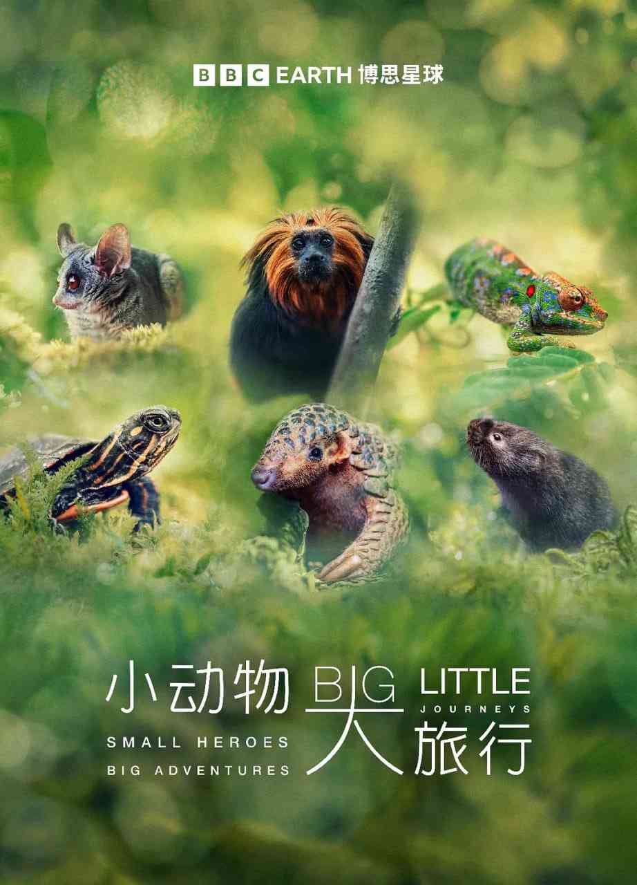 《小动物 大旅行 第一季》免费在线播放｜纪录片·英国